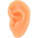 Silicone Ear Acupuncture Practice Model for Hearing Aid & Earrings Demonstration(Right) - Buy Online on GoSupps.com