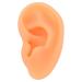 Professional Right Ear Display Mould for Hearing Aid Earrings - Silicone Simulation Model - Buy Online on GoSupps.com