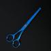 6.5 Inch Professional Stainless Steel Hair Cutting Scissors with Safety Rounded Tips - Barber Hair Shears with Comb - Ideal for Women, Men, and Kids - Blue Shear - Buy Online on GoSupps.com
