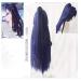 Anime Honkai Impact 3 Raiden Mei Cosplay Wig - Long Purple Synthetic Hair with Ponytail & Cap for Adults - Buy Online on GoSupps.com