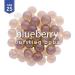 Bossen Bursting Boba Pure Blueberry Flavor - 7.26 lb Jar - Buy Online on GoSupps.com