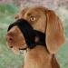 TRIXIE Nylon Dog Muzzle for XL-XXL Breeds - Black Ideal for Training & Safety - Buy Online on GoSupps.com