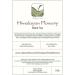 Himalayan Finest Flowery Tea Nepal - Nepalese Pure Loose Leaf Tea - Similar To Darjeeling But More 100g Himanlayan 100 g - Buy Online on GoSupps.com