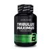 BioTechUSA Tribulus Maximus dietary supplement tablets with Tribulus terrestris 90 tablets