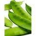 25+ Organic Oregon Giant Neve Peas Aperto Semi impollinazione ENORME! - Buy Online on GoSupps.com