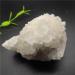 595g Natural Stone red Crystal Quartz Crystal Cluster Ornaments White Quartz Cluster Crystal Specimen - Buy Online on GoSupps.com