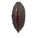 Fresh Cacao Exotic Fruit from St Lucia | Cacao Pod/Chocolate Fruit | 1kg