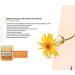 Arnica & Ocote Muscle Ointment 140g | Calming Relief for Pain | Florigan - Buy Internationally - Buy Online on GoSupps.com