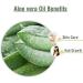 100% Natural Aloe Vera Oil - Pure & Uncut Carrier Oil (100ml) - Buy Online on GoSupps.com