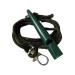 Whistle for hunting dogs with lanyard for recall and dog training long distance (Green)