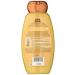 Garnier Whole Blends Repairing Shampoo Honey Treasures - Pack of 4 - Buy Online on GoSupps.com