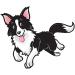 DoggyRade Isotonic Dog Water 500ml | Refreshing & Energizing Hydration for Dogs - Buy Online on GoSupps.com