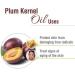 Plum Kernel Oil 100% Natural & Pure - Uncut Carrier Oil for Skin & Hair | Aromatherapy & Therapeutic Grade (50 ML - Buy Online on GoSupps.com
