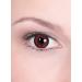 Contact lenses annual lenses Blood wolf - motif lens with prescription (1 piece) - dioptria: -1.5 - ideal for Halloween carnival & motto party Bloodwolf -1.5 Dioptries