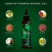 Bombay Shaving Co. Avocado & Grapeseed Hair Oil - Non-Sticky, Moisturizing & Frizz-Reducing (100ml) - Buy Online on GoSupps.com