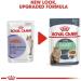 Royal Canin Digestive Care in Gravy Adult Wet Cat Food 85g (Pack of 12) Chicken 1.02 kg (Pack of 1) - Buy Online on GoSupps.com