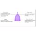 Buy Florauspicious Reusable Menstrual Cups - 2 Pack (Small Transparent) for Eco-Friendly Female Care - Buy Online on GoSupps.com