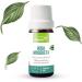 Funat Rose Hip Seed Oil for Face and Skin - 0.3 fl oz - Buy Online on GoSupps.com