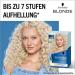  Schwarzkopf Blonde Schwarzkopf Blonde L100 Ice Blonde (175ml) Oil Activated Hair Colour with HaptIQ System & SOS Intensive Cure Total Repair (15ml) Keratin Hair Treatment - Buy Online on GoSupps.com