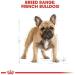 Royal Canin French Bulldog Adult 1.5 kg - Buy Online on GoSupps.com