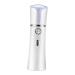DRESSOOS Skin Care Humidifier 1pc Usb Humidifier Charging Face White Handheld Hydrator Evaporator Nano Spray Cold Mini Humidifier 14.1x4cm