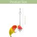 JTKREW 2 Pack Stainless Steel Bird Skewers for Parrots | Fruit & Vegetable Holders | Foraging Toys - Buy Online on GoSupps.com