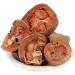 RAW HERBS/JADI BOOTI DRIED RUDRAWANTI PHAL RUDRAVANTI PHAL RUDANTI FAL CRESSA CRETICA (100GM) - Buy Online on GoSupps.com