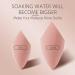 Makeup Sponge Makeup Puff Microfiber Velvet Sponges Makeup Blender Spong Powder Egg Shaped Foundation Concealer Cream Face Cosmetic Makeup Sponge Holder(PURPLE-3) - Buy Online on GoSupps.com