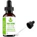 Pure Herbs Valerian Essential Oil (50 ml) - Natural Sleep Aid & Stress Relief | Valeriana Officinalis - Shop Internationally - Buy Online on GoSupps.com