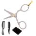 German Steel Rounded-Tip Scissors 4.2" - Hammer Forged 100% Stainless Steel - Beard Mustache Nose Hair Ear Hair Trimming - Professional Grooming Scissors (Silver 4.2") 4.2" Silver