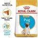 Royal Canin Pug Puppy Complete Dry Dog Food 1.5kg - Buy Online on GoSupps.com