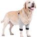Dog Elbow Brace Pads for Canine Elbow and Shoulder Support Elbow Hygroma Dysplasia Elbow Calluses Osteoarthritis Pressure Sores and Shoulder Dislocation for Canine Elbow qzjijosen (S) - Buy Online on GoSupps.com