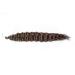 Deep Twist Crochet Hair - 22 Inch Ombre Kinky Curly Braided Extensions | 6 Packs Synthetic Waterwell Twists - Buy Online on GoSupps.com