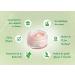 So'Bio tic Mattifying Cream with Pure Organic Aloe Vera Juice 50 ml Tube - Buy Online on GoSupps.com