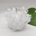 Home Decor 1pcs Natural Raw Quartz White Clear Crystal Cluster Stones Crystal Point Specimen Home Decoration Raw Crystals Gifts Natural Crystal (Size : 700-800g) Crystal Cluster (Size : 300-400g) - Buy Online on GoSupps.com