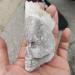 1pcs Clear Quartz Crystal Chyrsanthemum Cluster HandCarved Skull Specimen s - Buy Online on GoSupps.com