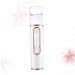 DOITOOL Facial Mist Portable Moisturizing Facial Humidifier Portable Steamer Power Bank Charge Face Sprayer
