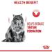 Royal Canin Dental Care Adult Dry Cat Food 1.5kg - Buy Online on GoSupps.com