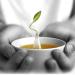 Tea Forte White Ginger Pear Event Box - 48 Handcrafted White Tea Pyramid Bags - Buy Online on GoSupps.com