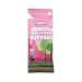 Trader Joe's New Peel Away Organic Fruit Leather Buttons 0.5oz (Grape-Mango, 12 Pack) Grape-Mango 12 Pack