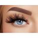 Buy Melody Lashes Naomi Jon Taco - Ultra Fluffy Natural Eyelashes Premium Quality Up to 15x Reusable Vegan Friendly - Buy Online on GoSupps.com