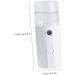 Mikinona Mini Mister Electric 1pc Hydrating Instrument Steamer Skin Moistener Skin Humidifier The Face Moisturizer Cloth Steamers - Buy Online on GoSupps.com