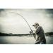 Ugly Stik GX2 5' Spinning Fishing Rod - Ultra Light, 2pc | High Performance Rod - Buy Online on GoSupps.com