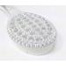 Aquasentials Long Handle Bath Brush - Regular Stiff Bristle for Effective Exfoliation - Buy Online on GoSupps.com