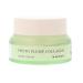 MIZON Phyto Plump Collagen NIGHT CREAM Plant Collagen 75% Natural Ingredients Anti Wrinkle Elasticity Booster Hydrating Safe Vegan Formula (50 ml/1.69oz)