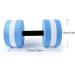 2PCS Water Aerobic Foam Dumbbells Set for Aqua Fitness in Sky Blue - Buy Online on GoSupps.com