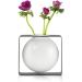 Modern Floating Vase - Horizontal Design | Unique Home Decor - Buy Online on GoSupps.com