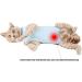 Voarge Recovery Suit for Cats & Dogs | Anti-Leaking & Anti-Licking Bodysuit for Post-Surgery Care (L Blue) - Buy Online on GoSupps.com
