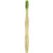 Woobamboo Standard Handle Medium Bristle Toothbrush - Eco-Friendly Biodegradable Dental Care | 0.6 Ounce - Buy Online on GoSupps.com