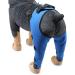 Pet Dog Knee Brace ACL Brace for Dogs Rear Leg Dog Braces for Back Leg for Support for Heals Prevents Injuries Sprains Blue Small Small Blue - Buy Online on GoSupps.com